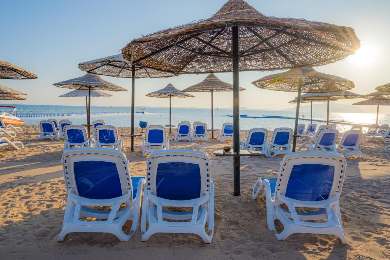 ivy Cyrene Island Hotel Sharm el-Sheik Eksteriør bilde